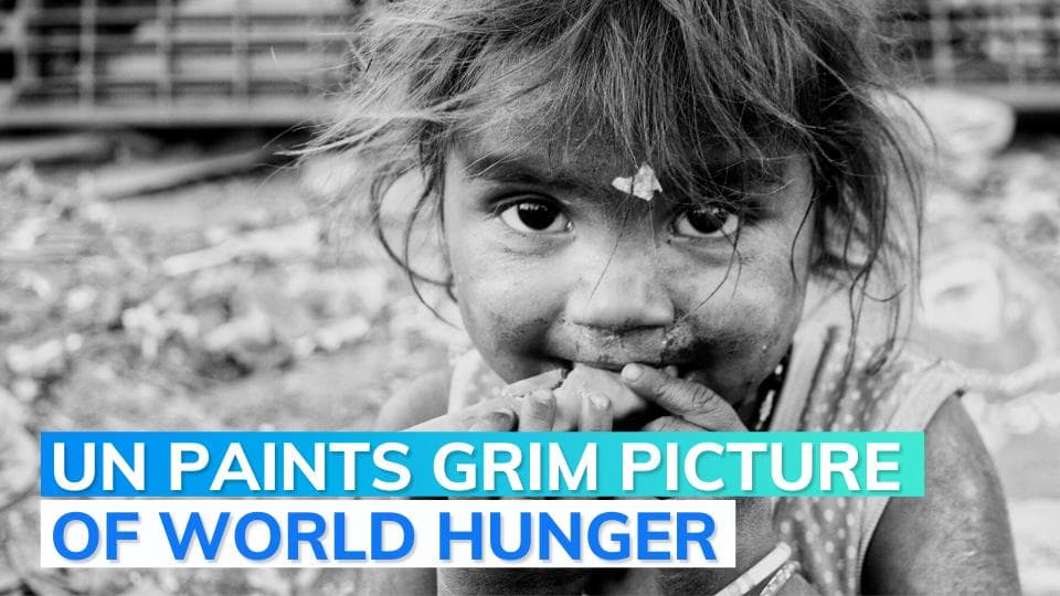  UN: 2.3 billion people severely or moderately hungry in 2021