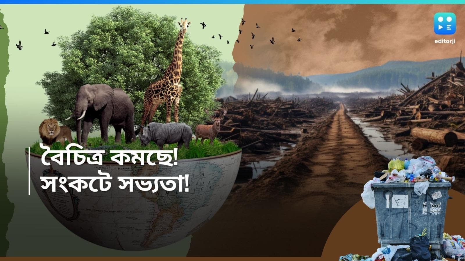 World Biodiversity Day: ২০০০ বছরের উষ্ণতম বছর কাটিয়ে এলাম! কোথায় দাঁড়িয়ে জৈব বৈচিত্র?