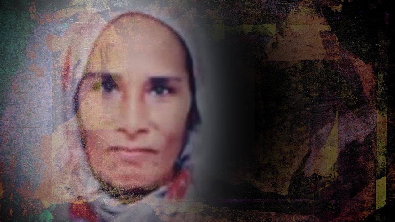 Punjab: Woman dies at Shambhu border as farmers' agitation continues