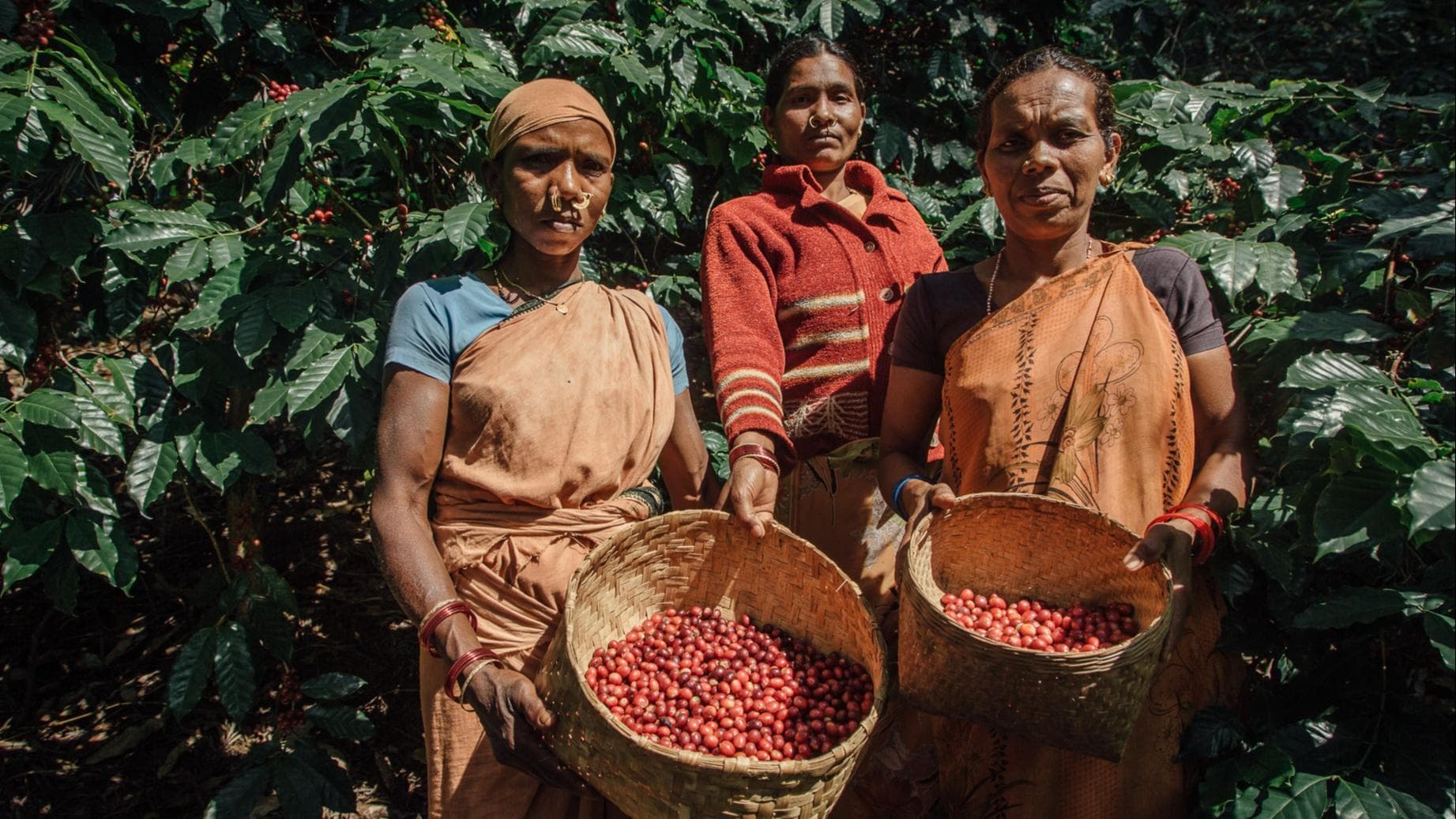 Bold & brewed: Indian brands for your local, artisanal coffee fix 