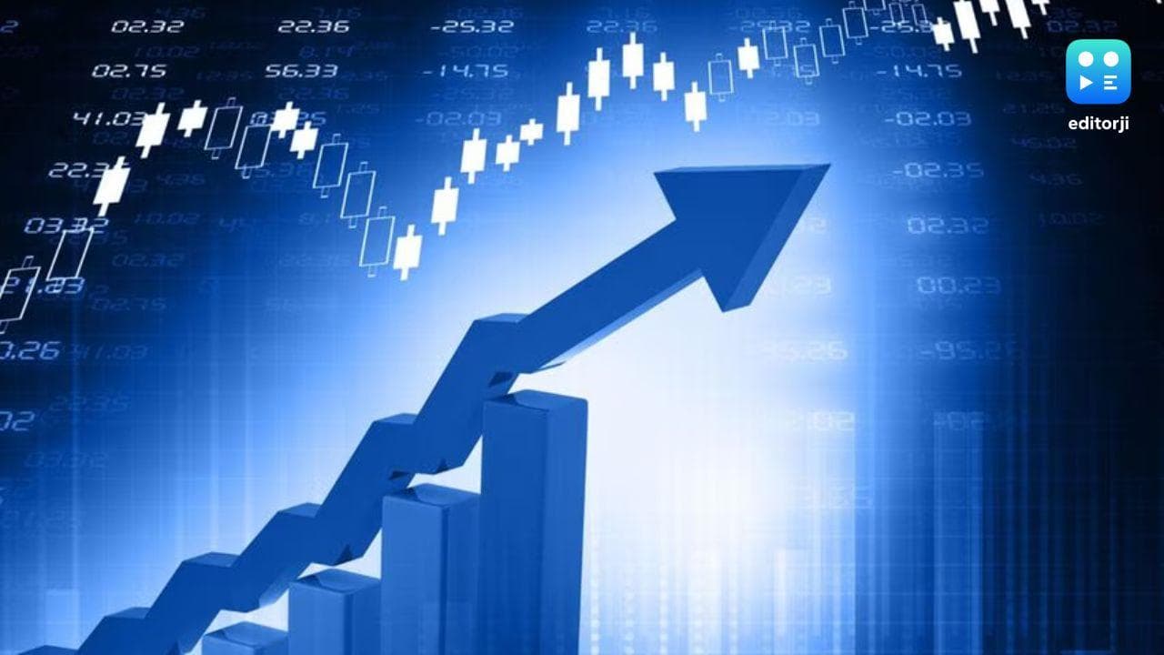 Top 5 Nifty 50 gainers today – February 12, 2025: Biggest stock moves