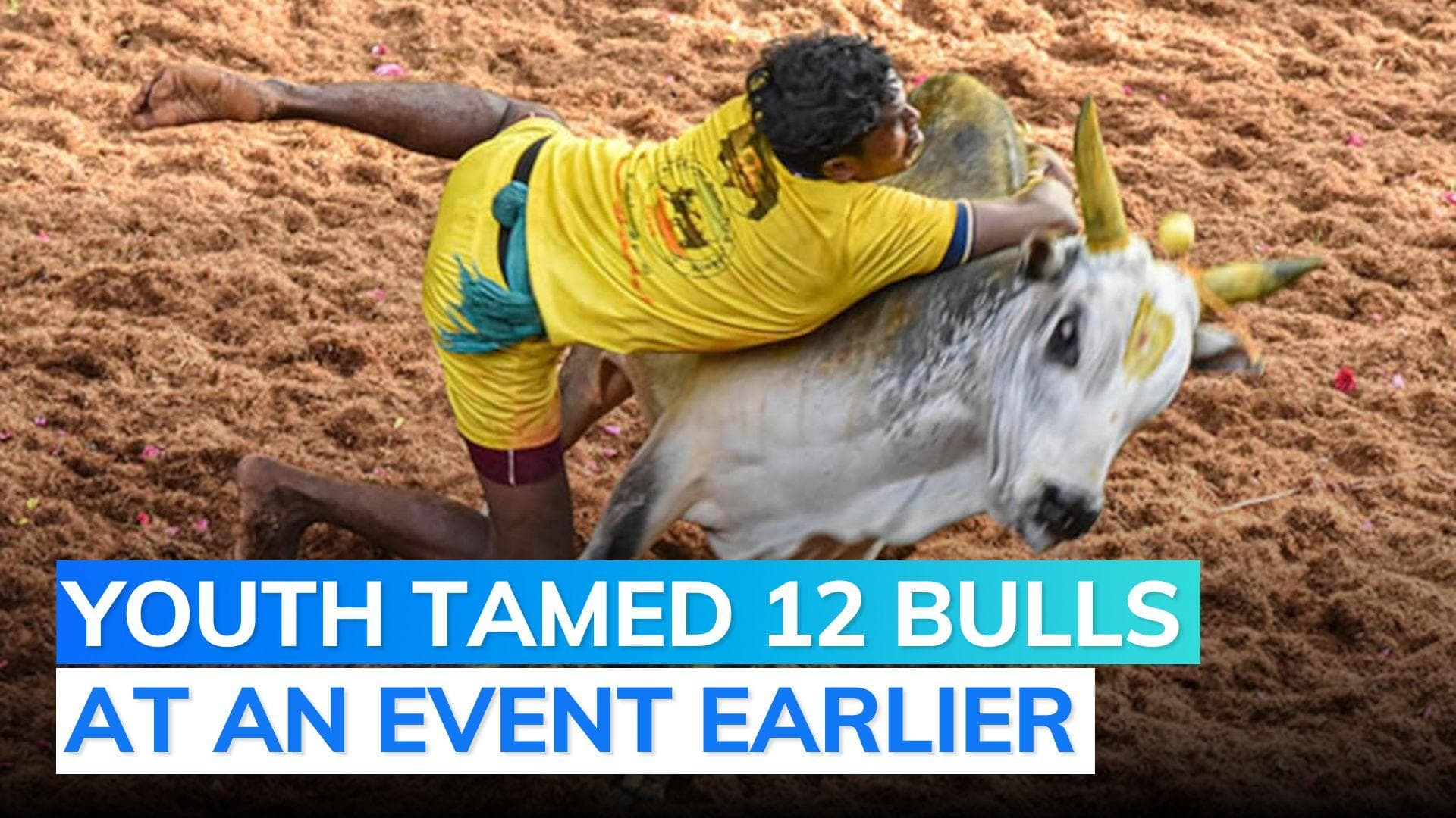 Jallikattu begins in Tamil Nadu's Madurai