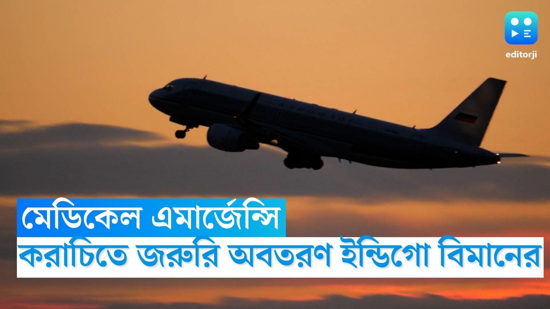 Indigo Flight: মাঝআকাশে অসুস্থ ব্যক্তি, করাচিতে এমার্জেন্সি ল্যান্ডিং দিল্লি-দোহাগামী ইন্ডিগো বিমান