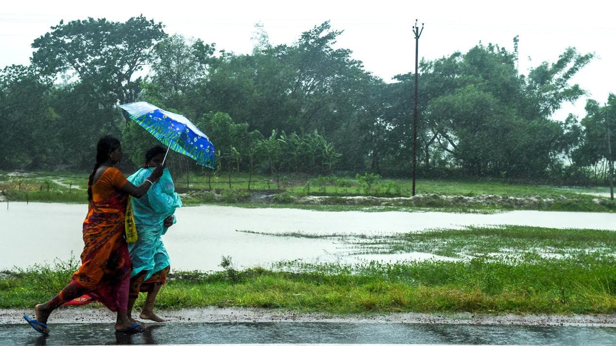 West Bengal Weather: সকাল থেকেই কুয়াশার চাদরে ঢাকা রাজ্য, ভরা বসন্তে বঙ্গে বৃষ্টি