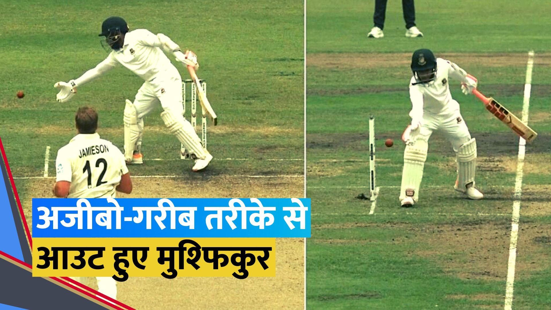 न्यूजीलैंड के खिलाफ 'Obstructing the field' आउट हुए बांग्लादेशी खिलाड़ी Mushfiqur Rahim, वीडियो हुआ वायरल