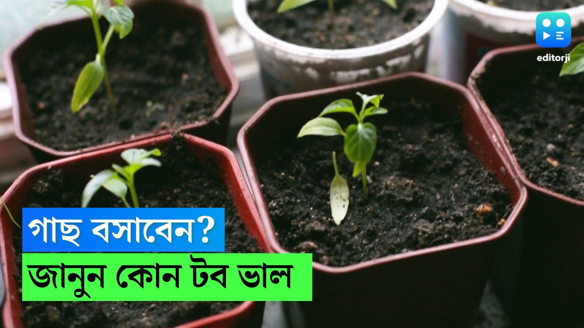 Gardening Tips: গাছ বসানোর জন্য কোন টব ভাল, প্লাস্টিকের টবে সুবিধা কোথায়? 
