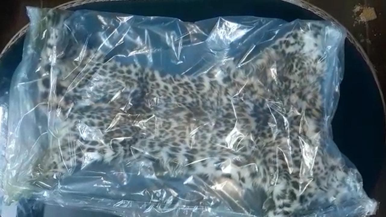 Leopard Killed in Siliguri: মাংসের লোভে চিতাবাঘ হত্যা, শিলিগুড়ি থেকে আটক ৩ অভিযুক্ত