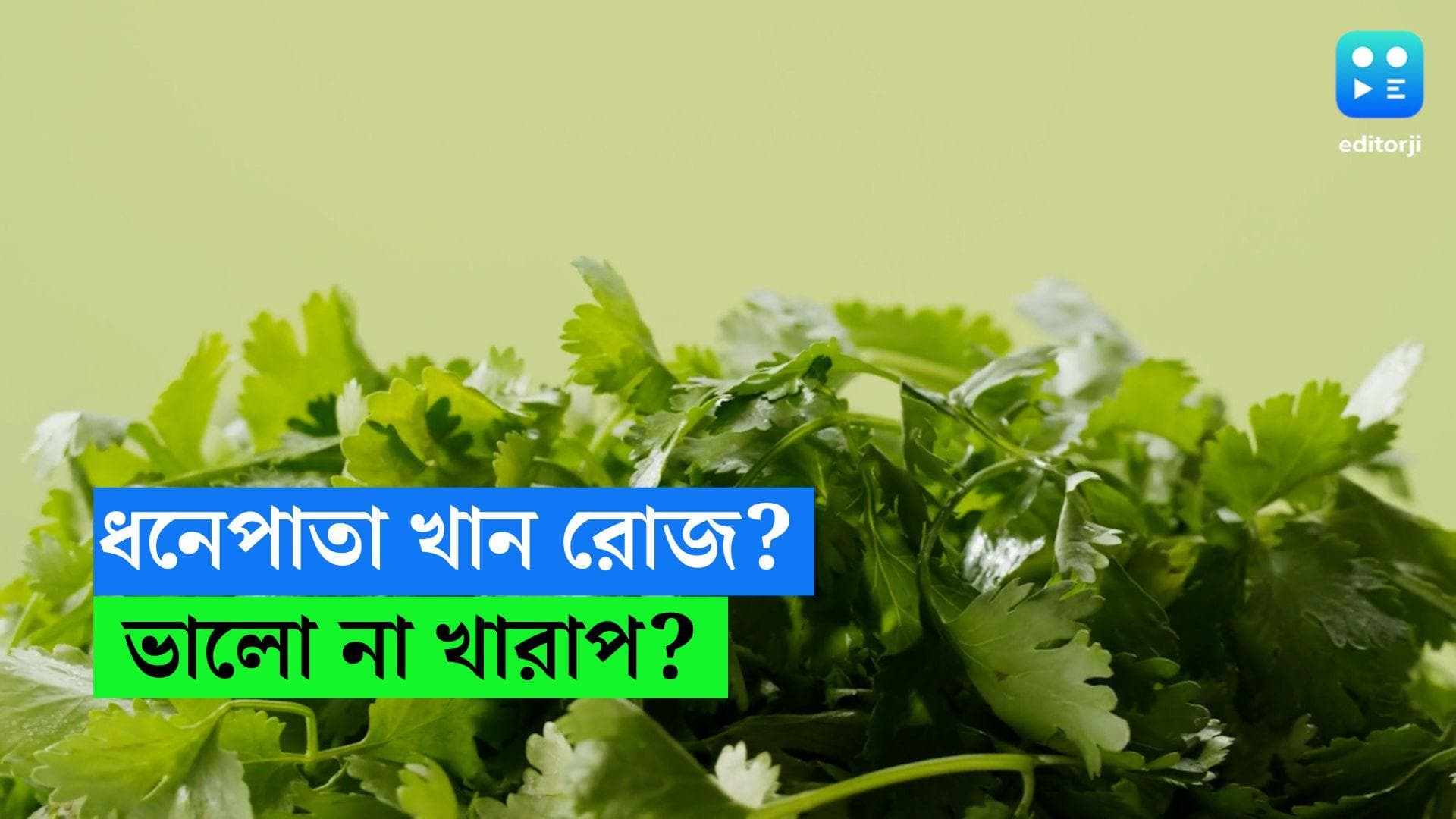 Coriander Leaves benefit : শীতে ধনেপাতা ছাড়া জমে না রান্না, কিন্তু বেশি খেলে কী হতে পারে জানেন ? 