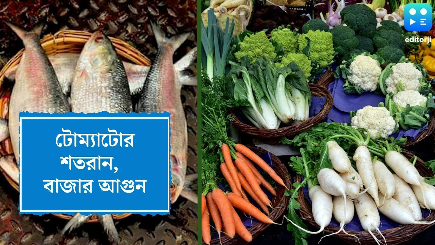 Jamai Sasthi Market : জামাইষষ্ঠীতে বাজার আগুন, নাগালের বাইরে মাছ, মাংস, সব্জি