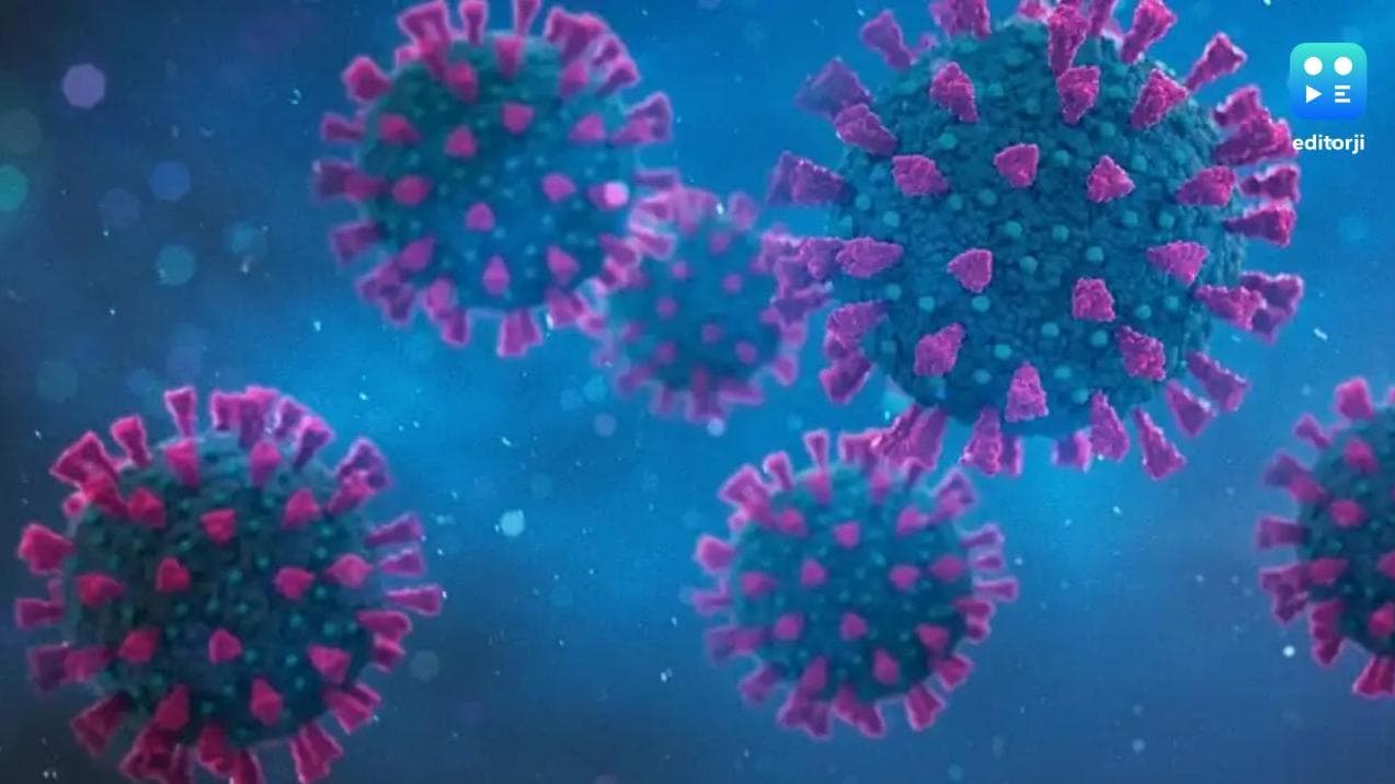 China grapples with rising respiratory illnesses amid HMPV outbreak