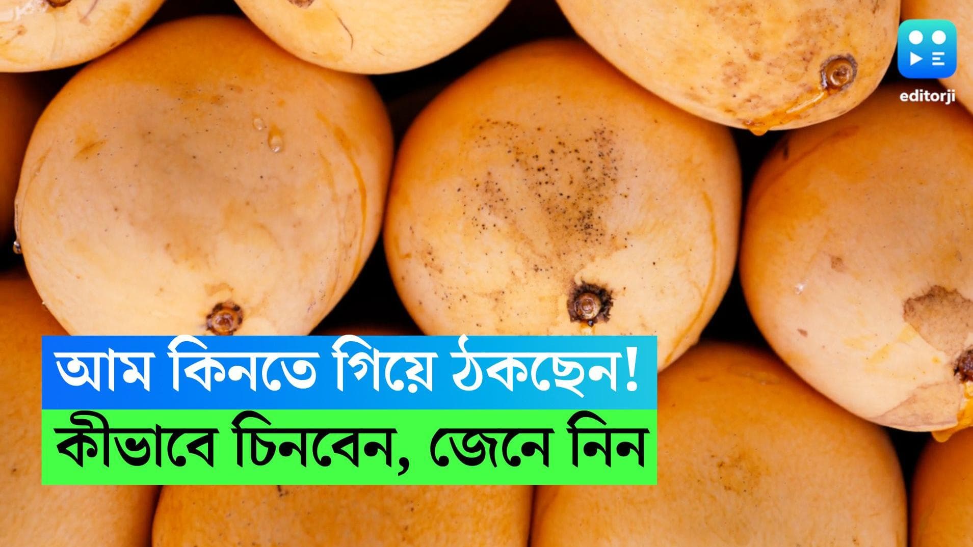 Mangoes : কৃত্রিমভাবে পাকানো আম কিনছেন না তো ?  বাজারে গিয়ে গাছ পাকা আম চিনবেন কীভাবে, রইল টিপস