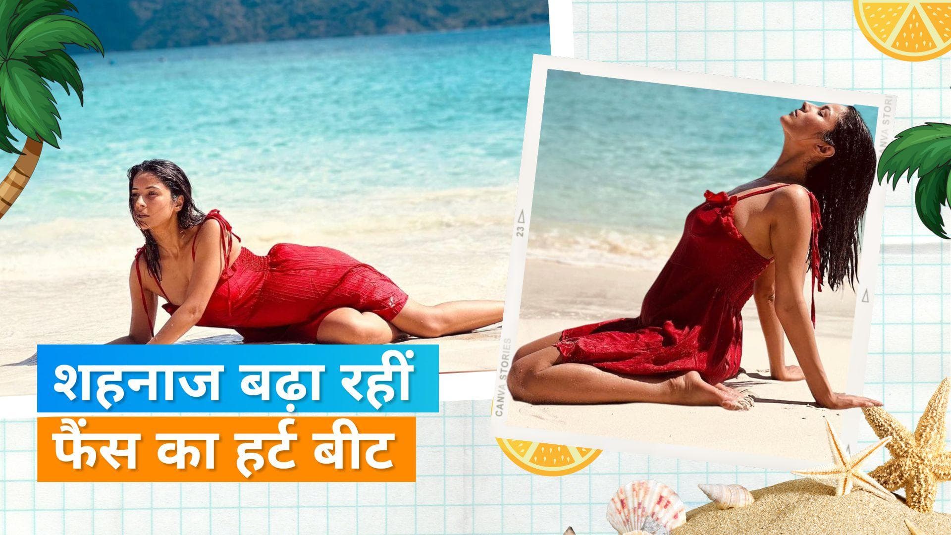 Shehnaaz Gill की थाईलैंड वेकेशन से तस्वीरें वायरल, एक्ट्रेस रेड हॉट अवतार में लूट रही फैंस का दिल