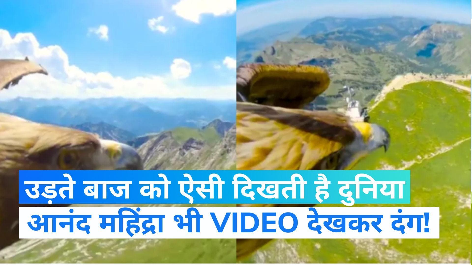 Anand Mahindra: आनंद महिंद्रा ने सोशल मीडिया पर शेयर किया ऐसा वीडियो, देखकर हो जाएंगे हैरान 