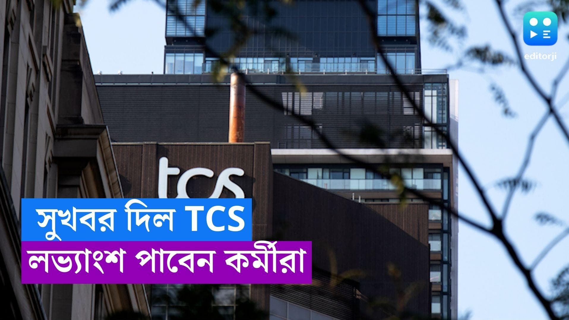 TCS: সুখবর দিল TCS! বছরের শুরুতেই অতিরিক্ত লক্ষ্মীলাভ, কোম্পানির লভ্যাংশ পাবেন কর্মীরা
