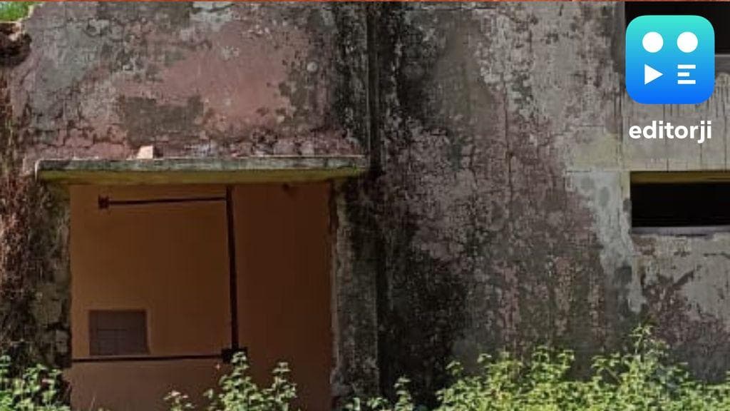 Punjab launches major forest conservation initiatives