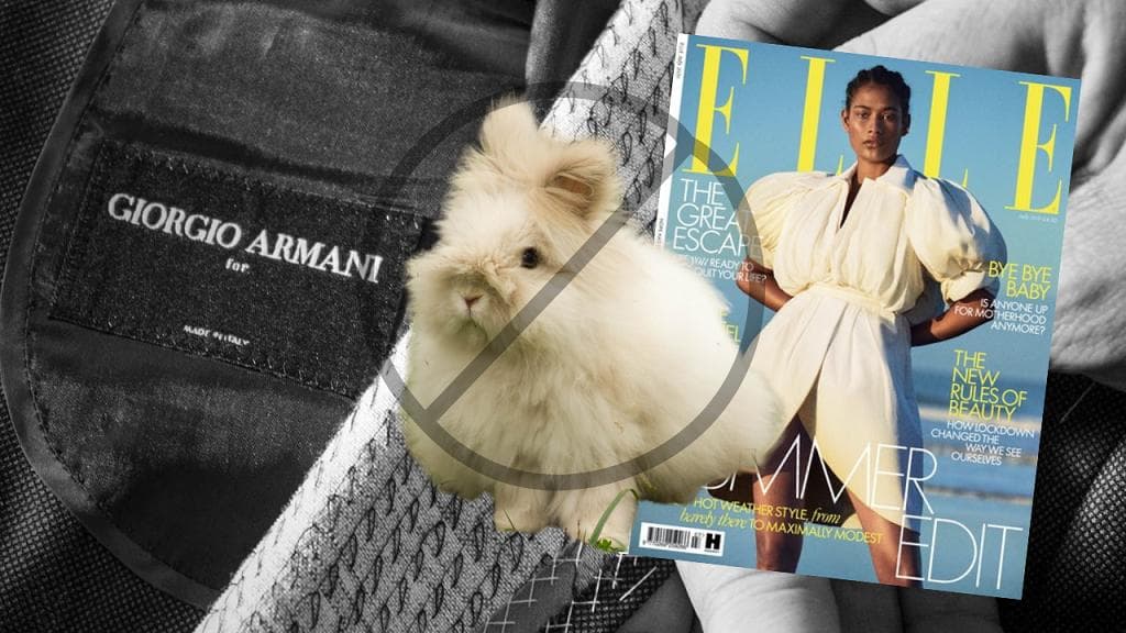 About time! Elle drops fur from editorial content, Armani to quit angora wool