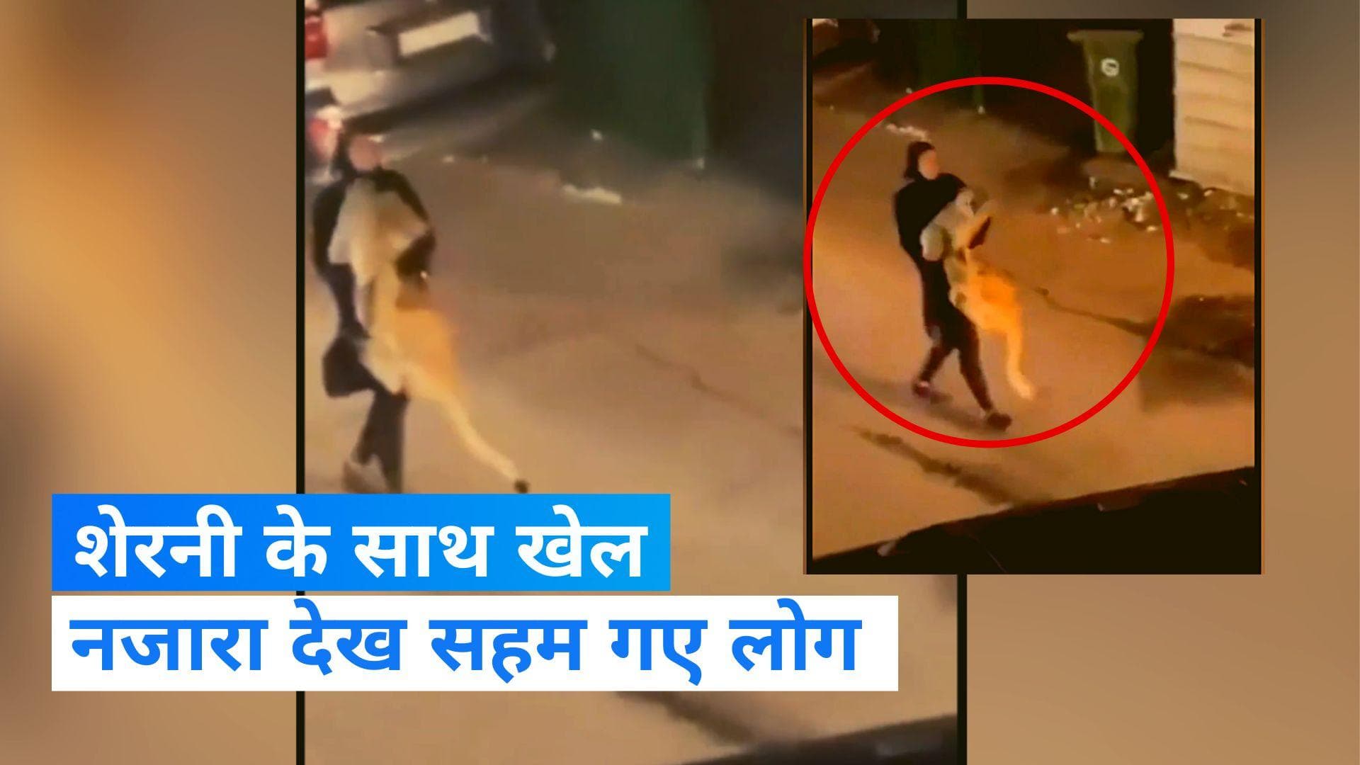 Viral video: सड़क पर खूंखार शेरनी से खेल रही है महिला! हैरान करने वाली है तस्वीर