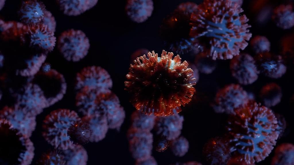 WHO on NeoCov Variant: করোনার নয়া প্রজাতি নিওকোভ নিয়ে আরও গবেষণার প্রয়োজন, জানালো বিশ্ব স্বাস্থ্য সংস্থা