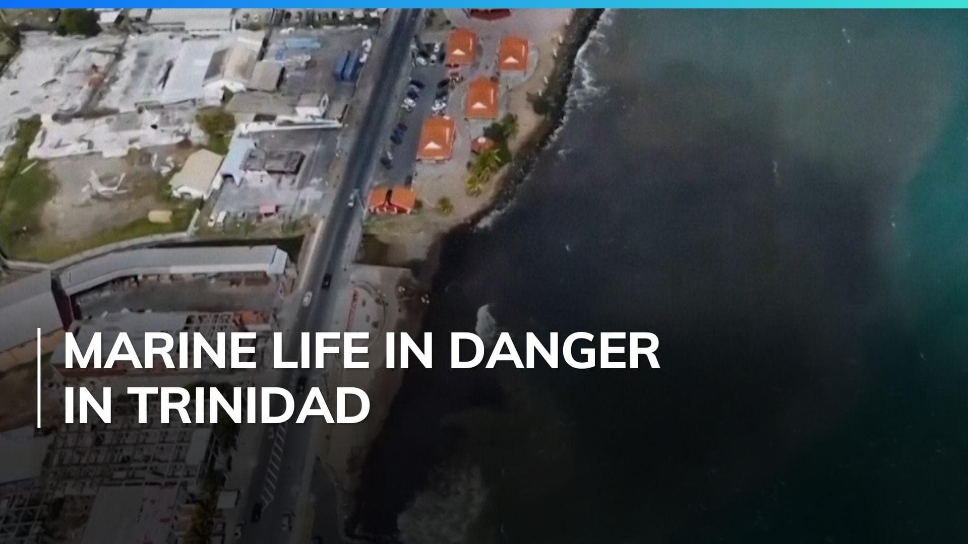 Disastrous oil spill in Trinidad after mystery shipwreck