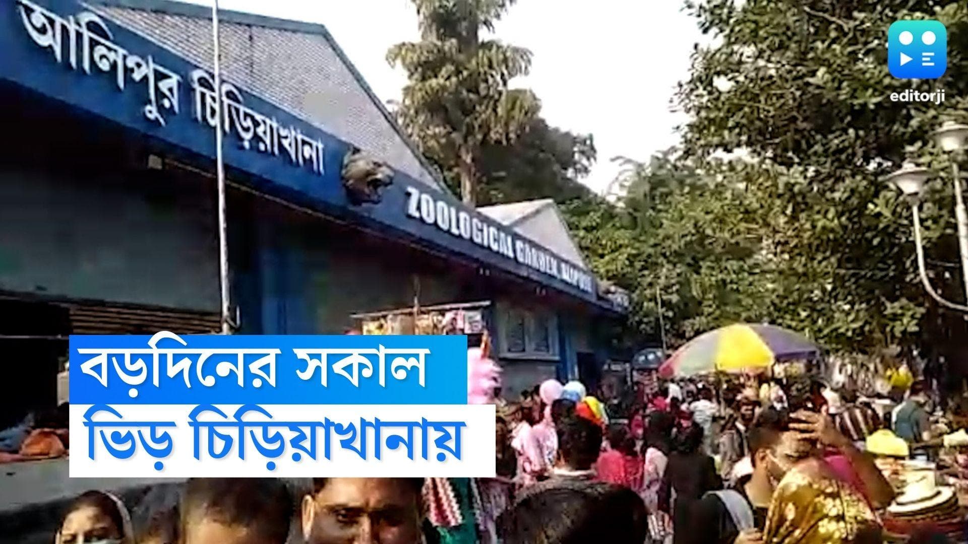 Alipore Zoo on Christmas : বড়দিনের সেলিব্রেশন শহর কলকাতাজুড়ে, সকাল থেকেই ভিড় চিড়িয়াখানায়