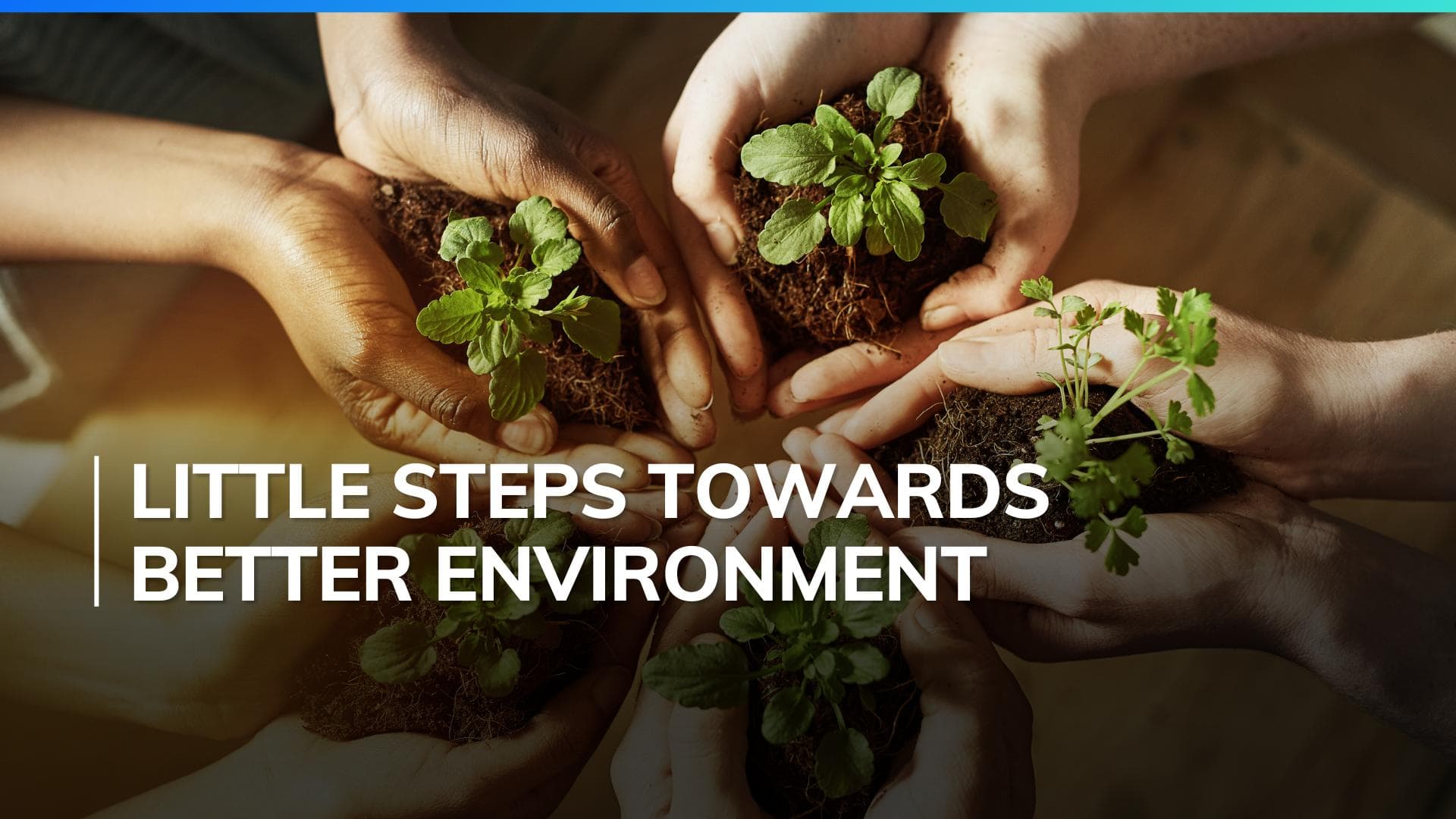 World Environment Day 2024: Here are a few simple steps you can take for a sustainable future