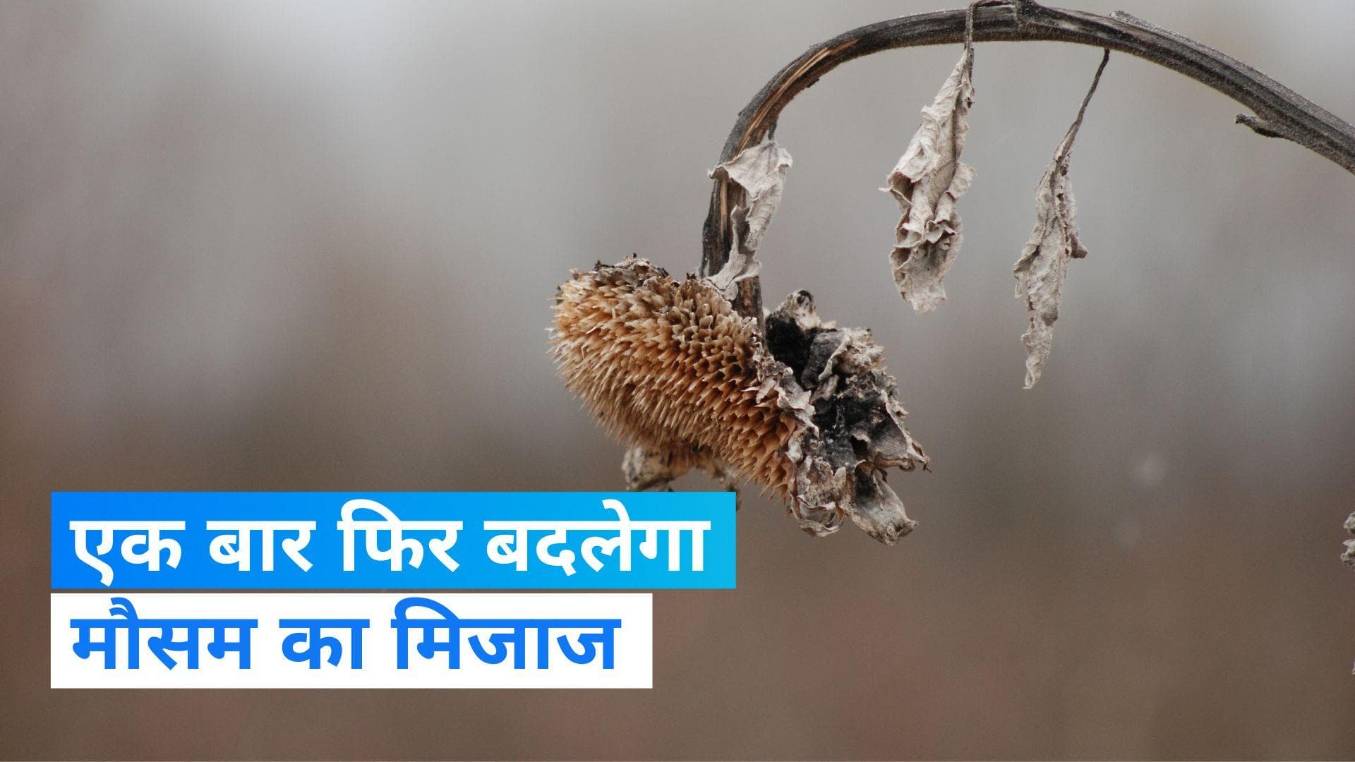 India Weather Update: एक बार फिर करवट लेने वाला है मौसम, IMD ने जारी किया अलर्ट