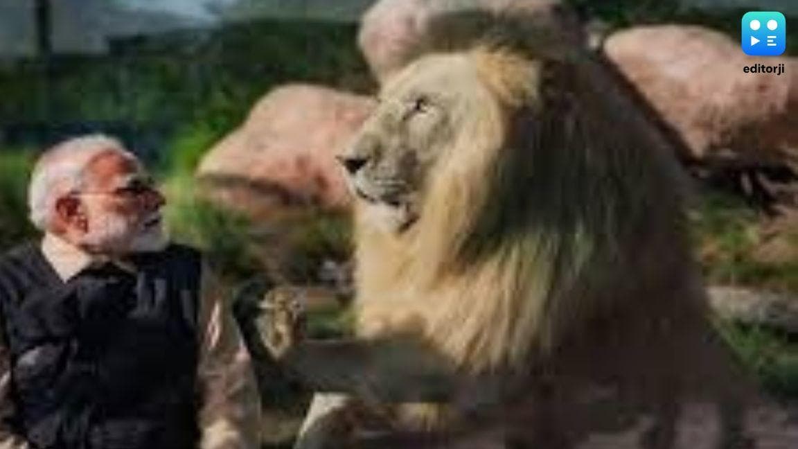 PM Modi lauds 'Vantara' wildlife initiative at Reliance in Jamnagar