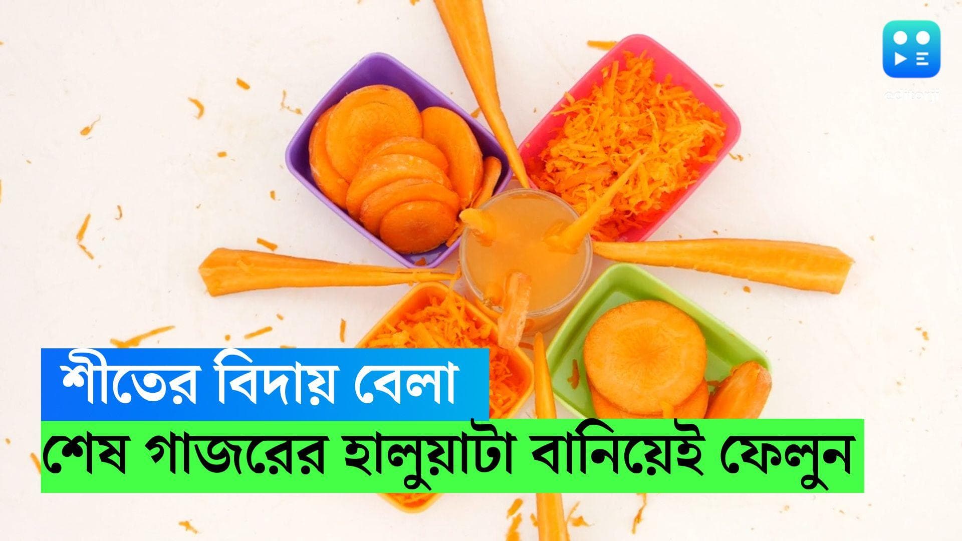 Carrot Halwa: বেজে গিয়েছে শীতের বিদায় ঘণ্টা, শেষ পাতে থাক মরশুমি 'মিষ্টি মুখ', রইল গাজরের হালুয়ার রেসিপি