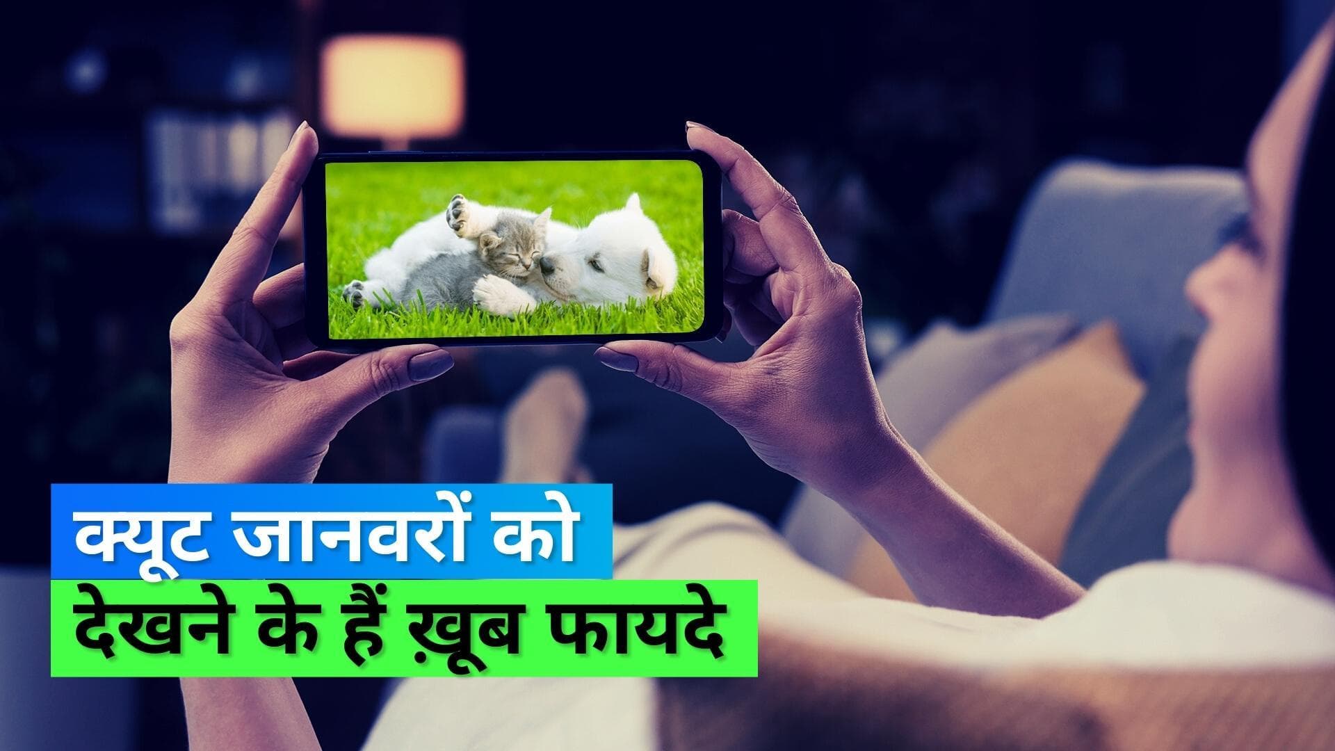 आप भी हो जाते हैं क्यूट जानवरों के वीडियोज़ पर फिदा! सेहत के लिए है ये बेहद फायदेमंद