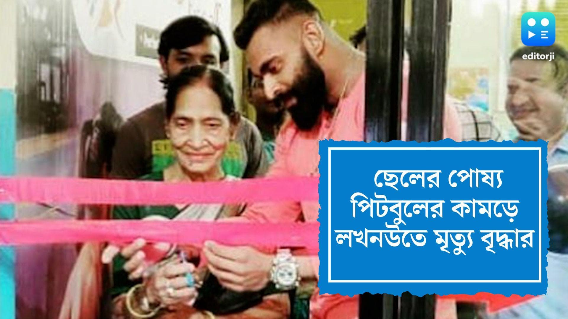 Pet Dog Kills Woman: ভয়াবহ ঘটনা! ছেলের পোষ্য পিটবুলের কামড়ে লখনউতে মৃত্যু বৃদ্ধার