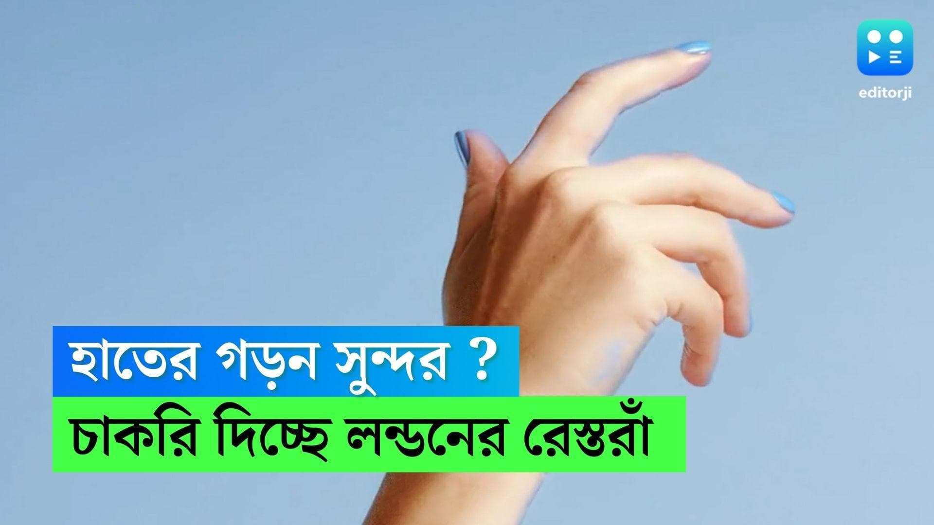 Restaurent Grape feeder Job:হাতের গড়ন সুন্দর ?গ্রাহকদের খাইয়ে দিতে হবে আঙুর, চাকরি দিচ্ছে এই রেস্তরাঁ