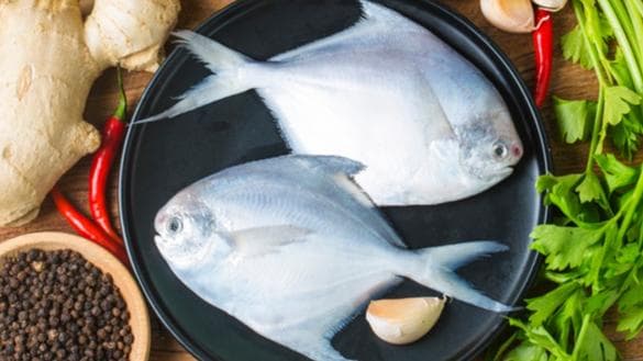 Upping your fish intake can help your brain stay healthy, wealthy and wise