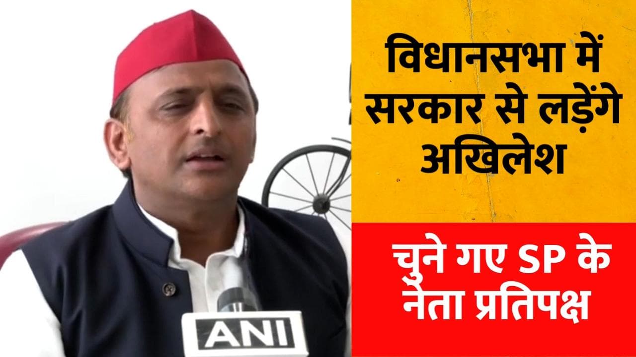 विधानसभा में भी AKhilesh Yadav ही होंगे SP का चेहरा, विधायक दल के नेता चुने गए