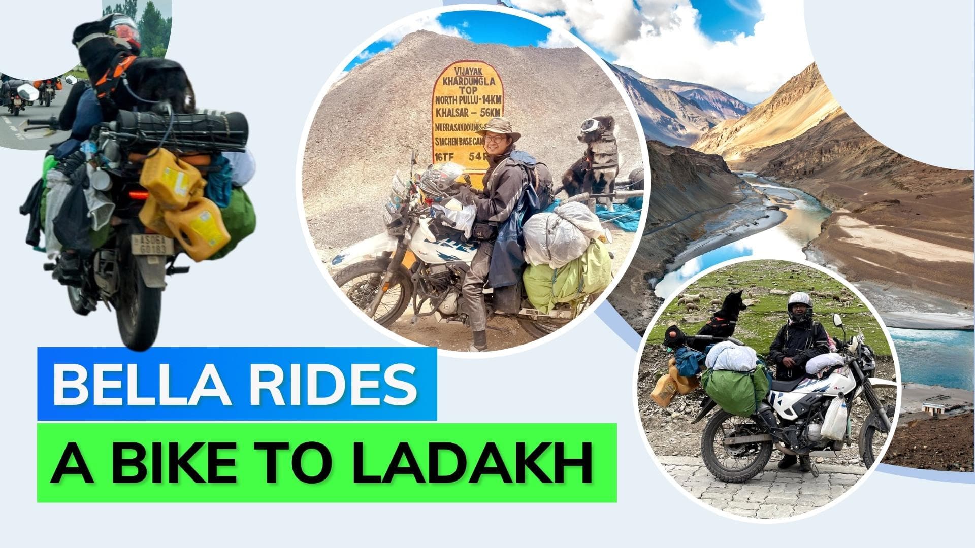 Man rides a bike from Delhi to Ladakh with his dog; netizens shower love