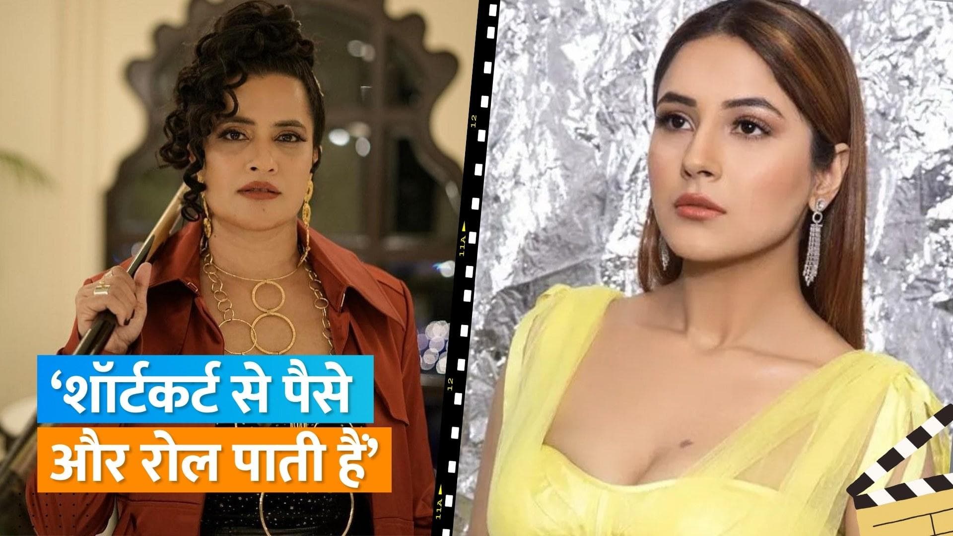 Sona Mohapatra ने Shehnaaz Kaur Gill के टैलेंट पर उठाया सवाल, कहा- मैं ऐसी महिलाओं को जानती हूं 