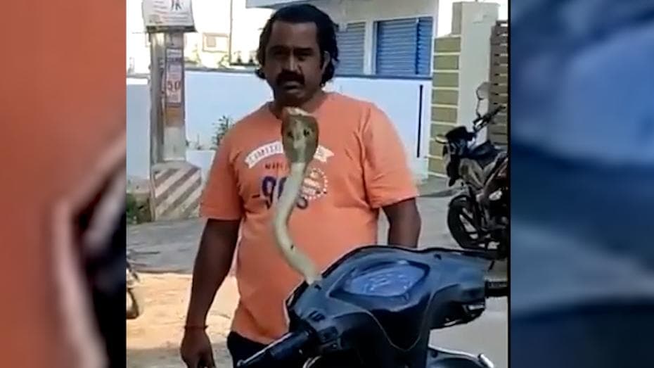 Viral Video: जब स्कूटी के हैंडल से सांप ने निकाला फन, फिर कैसे हुआ बोतल में बंद... देखिए यहां