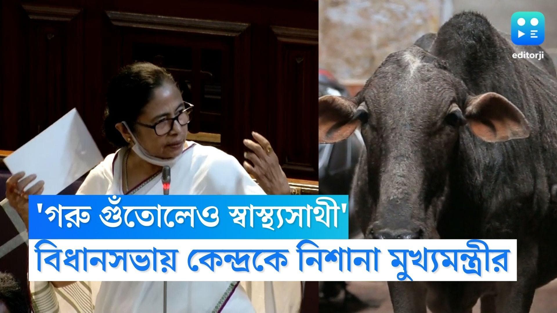 Mamata Banerjee: 'গরু গুঁতোলেও স্বাস্থ্যসাথী', বিধানসভায় কেন্দ্রকে নিশানা মুখ্যমন্ত্রী মমতার