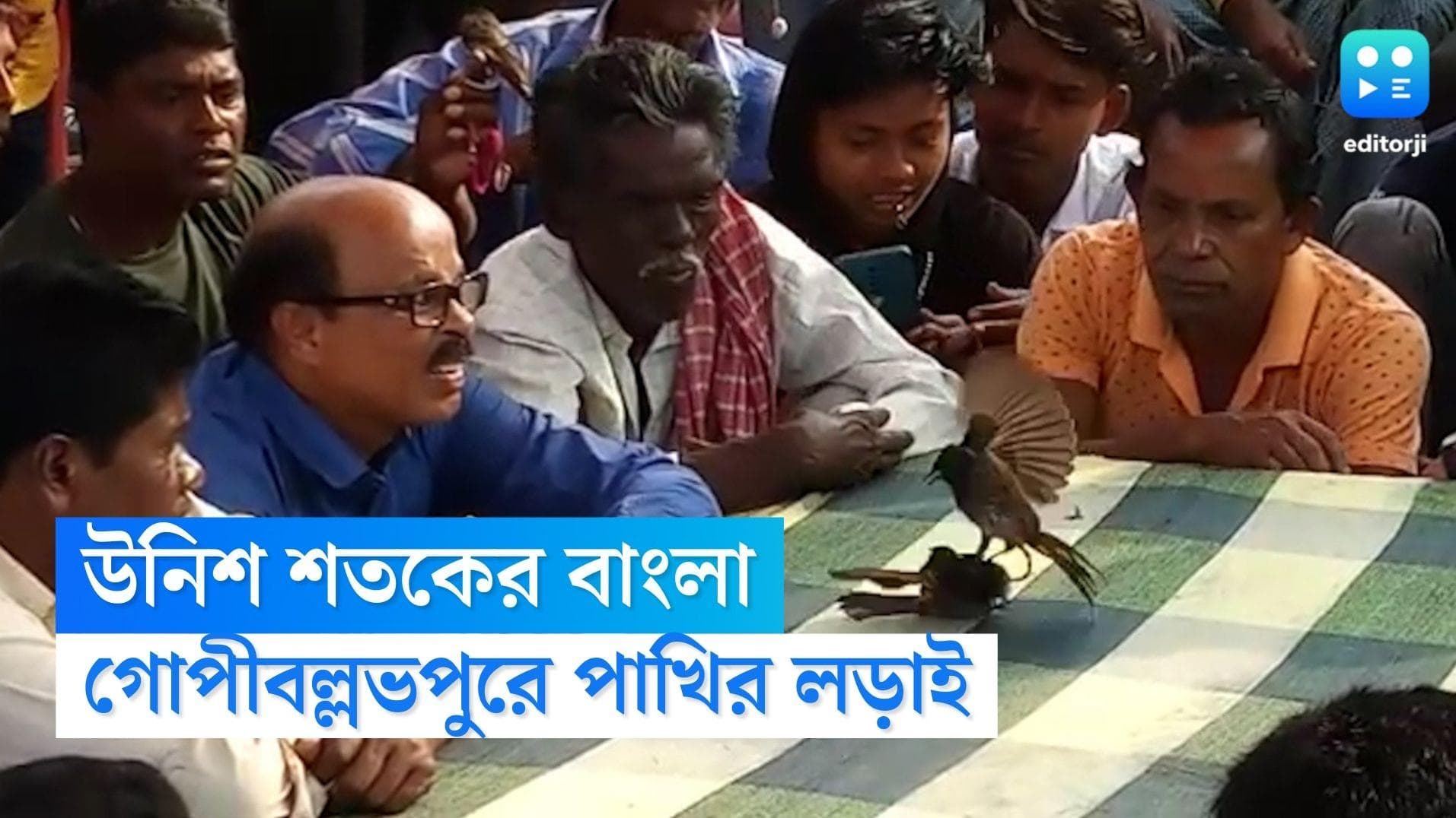 Bird Fight In Gopiballavpur: গোপীবল্লভপুরের পাখির লড়াই, এখনও বেঁচে একটুকরো উনিশ শতক