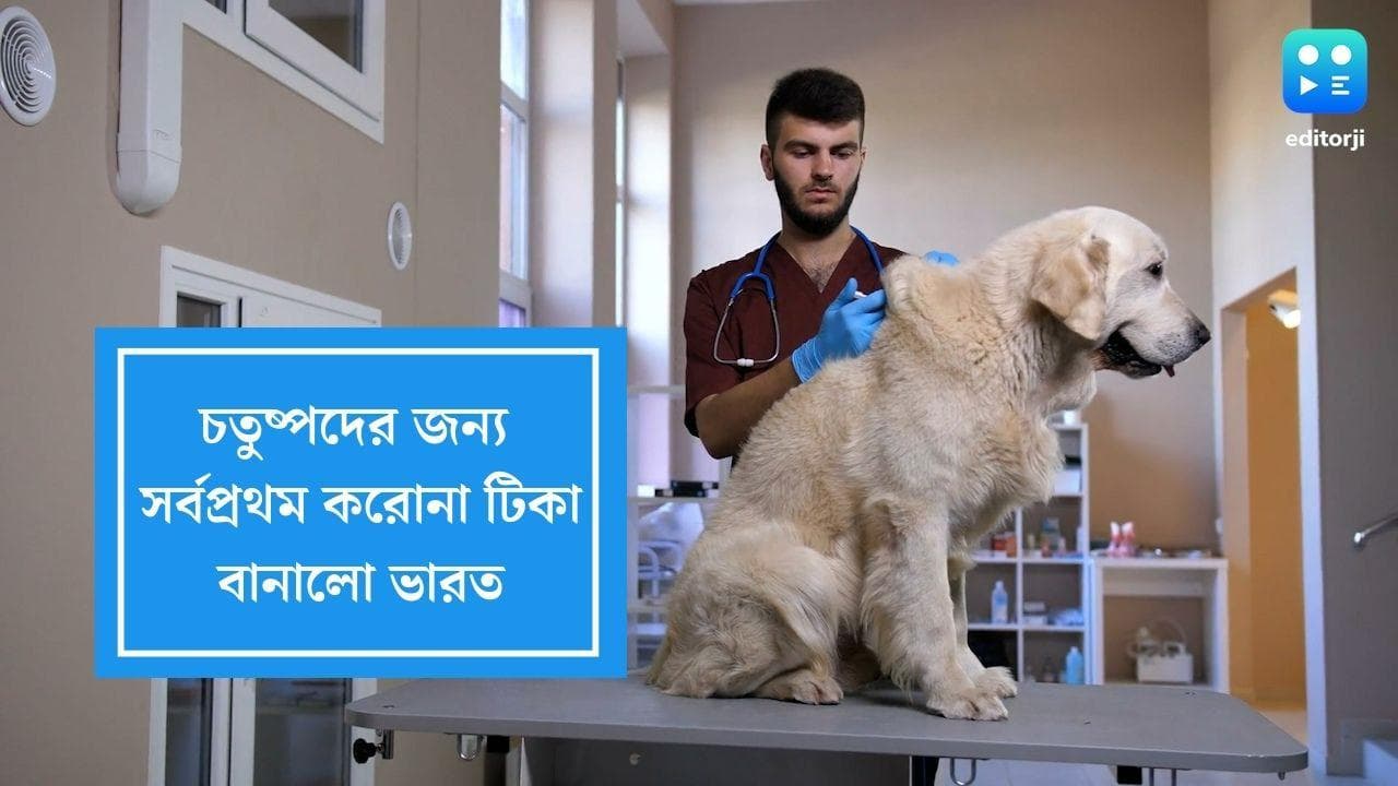 Anocovax: এবার করোনার টিকা পাবে চতুষ্পদরাও, কেন্দ্রীয় কৃষিমন্ত্রীর হাত ধরে পথ চলা শুরু অ্যানোকোভ্যাক্সের