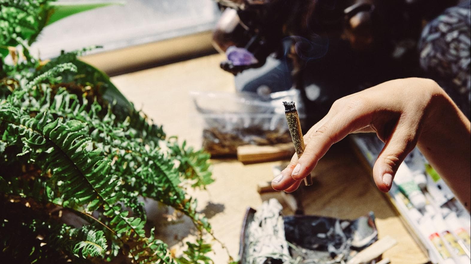 Cannabis and Mental Health: भांग का इस्तेमाल करने वालों में मानसिक बीमारियों का ख़तरा 7 गुना अधिक