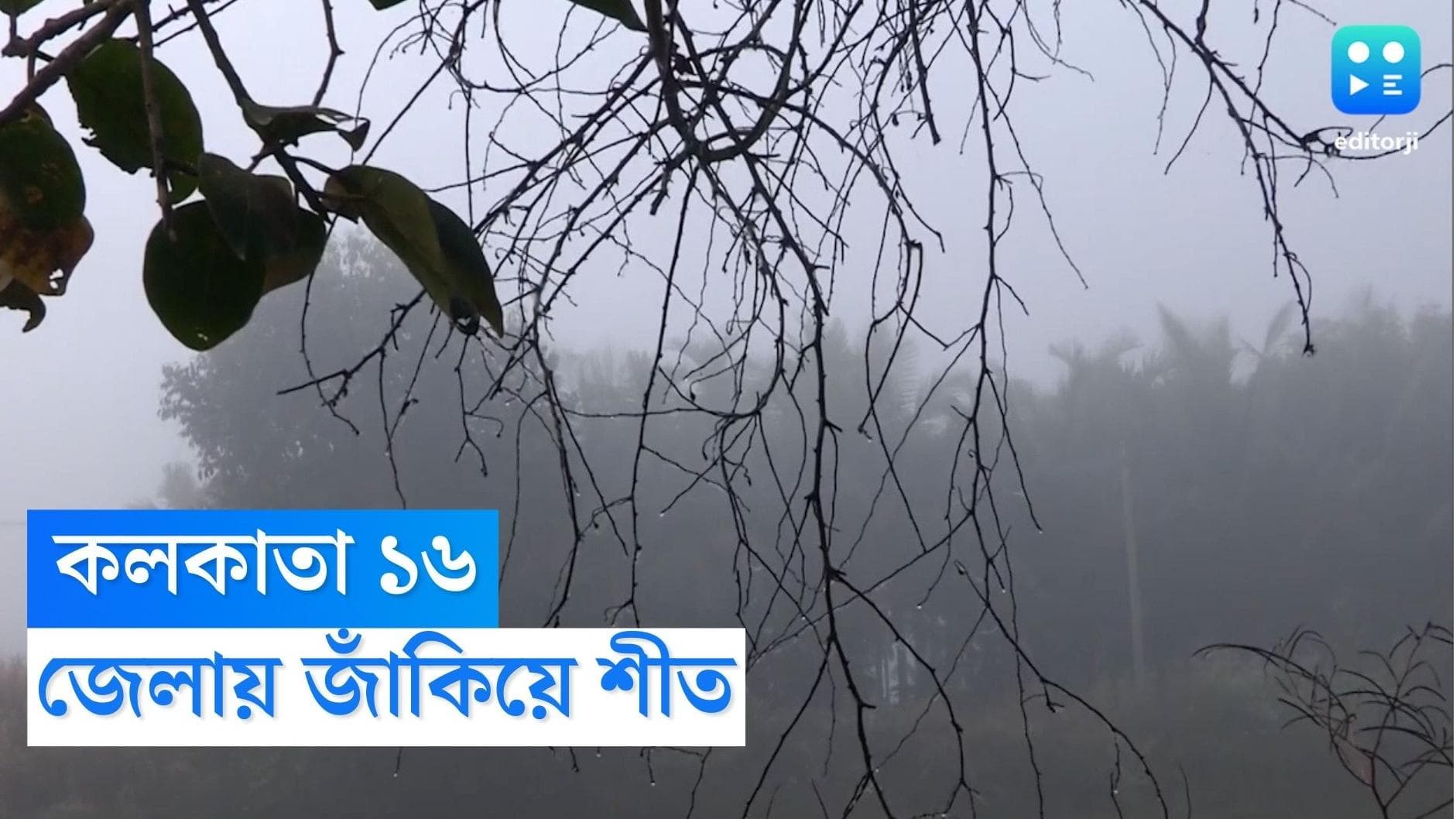West Bengal Weather Update : ফের সামান্য বাড়ল তাপমাত্রা, জাঁকিয়ে শীত পড়তে এখনও দেরি