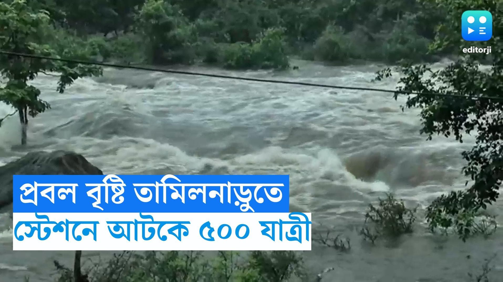 Tamil Nadu Flood situation: তামিলনাড়ুতে প্রবল বৃষ্টির জেরে বন্যা পরিস্থিতি, রেল স্টেশনে আটকে প্রায় ৫০০