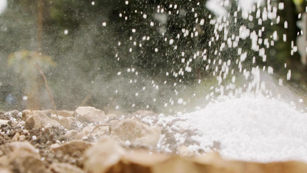 How Putin's new threat may hurt Indian farmers: Russia's fertiliser price warning | Ukraine war