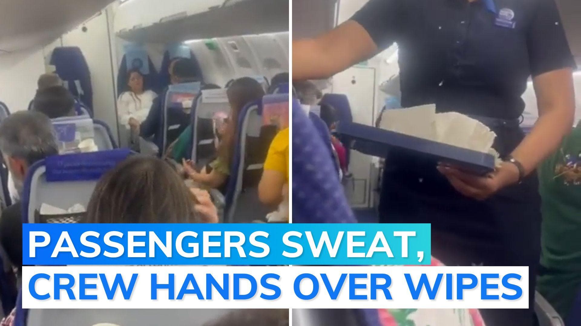 'No AC in IndiGo flight': Punjab MLA claims in video; airline responds