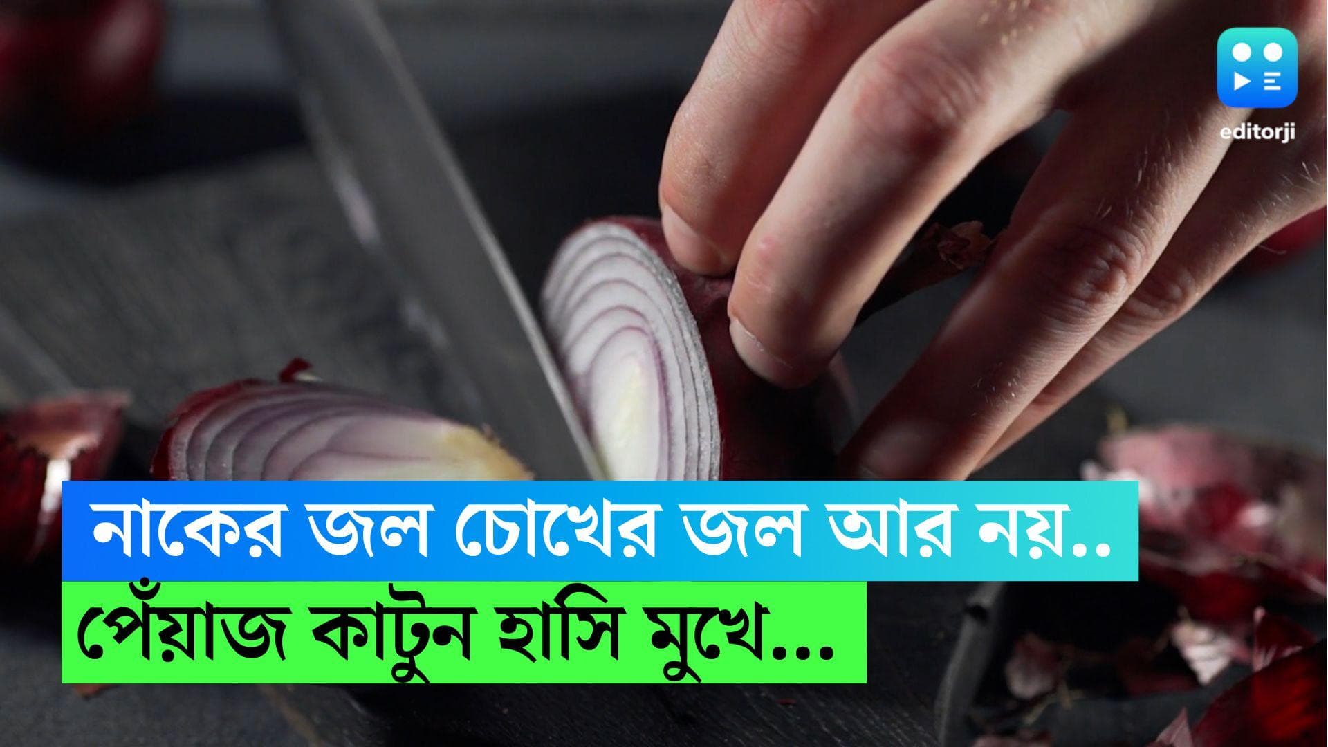 Onion Chopping Tips: পেঁয়াজ কাটতে গিয়ে কেঁদে ভাসান? চোখ মুছুন, হাসি মুখে পেঁয়াজ কাটুন এই উপায়ে