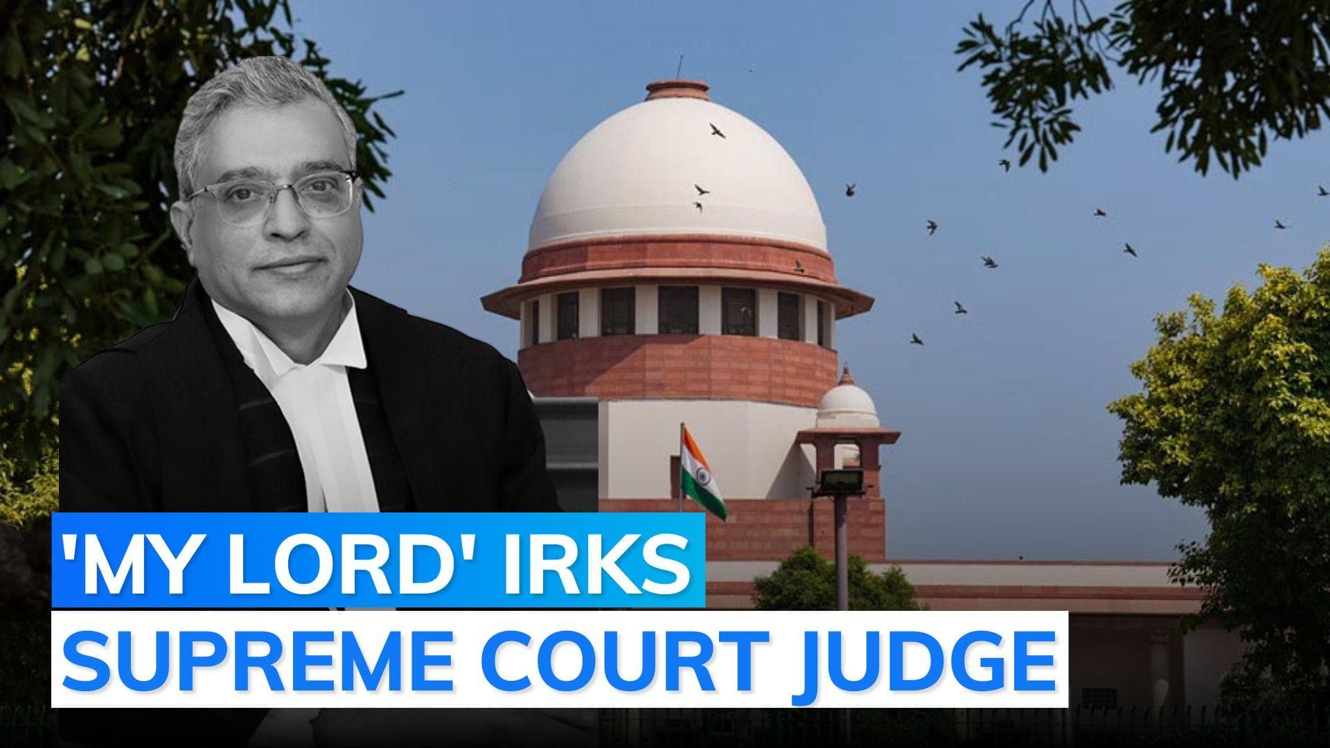 'Stop saying My Lord, will give half my salary': SC judge to lawyer