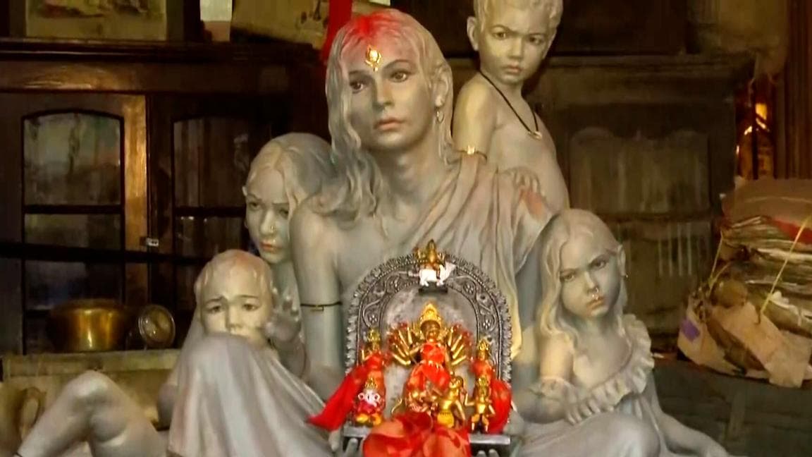 Durga Puja Theme NRC: দুর্গাপুজোয় মায়ের দুর্দশা! বেহালার এই থিমপুজোয় উঠে এল এনআরসি