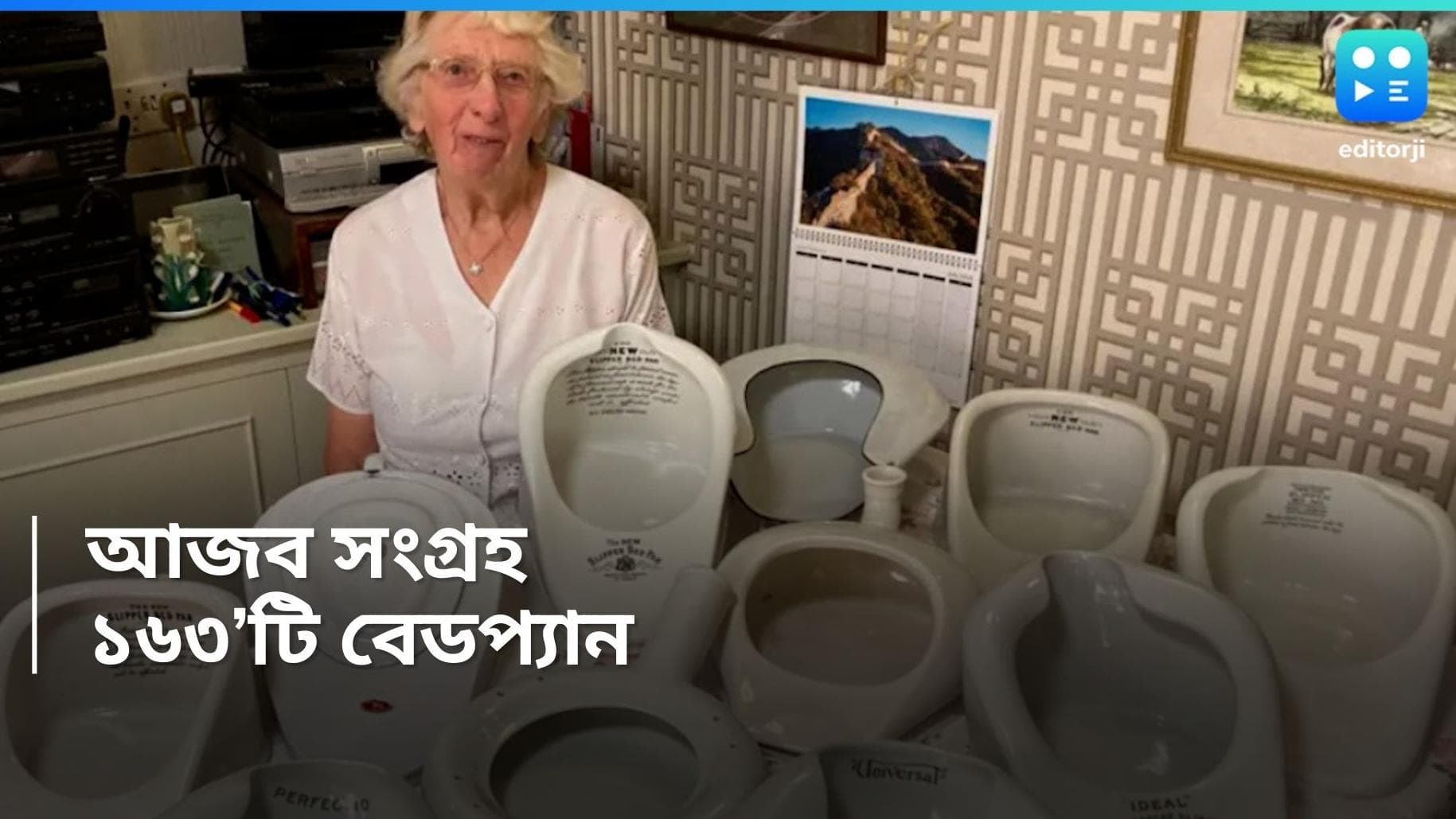 Bizarre Collection: কী নেশা ওই বেডপ্যানে! ইংল্যান্ডের বৃদ্ধার সংগ্রহের কথা শুনলে চমকে উঠবেন আপনিও!