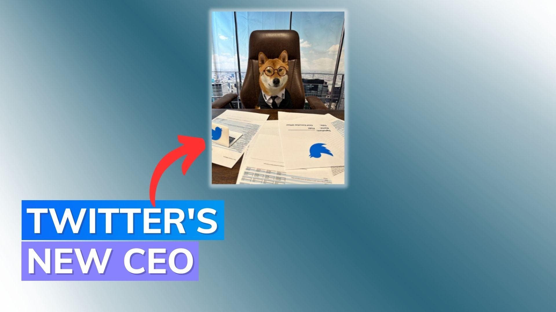 Elon Musk introduces new Twitter CEO