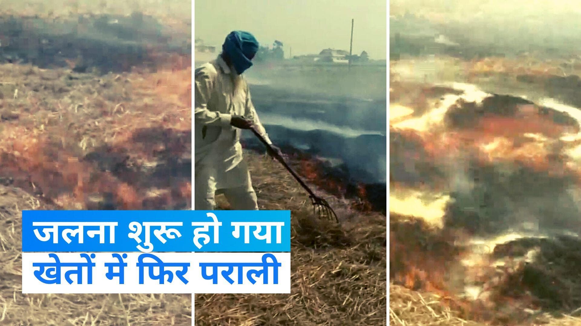 Punjab parali news: पंजाब के अमृतसर में जलाई जा रही है पराली, खेतों से उठ रहा दमघोंटू धुआं 